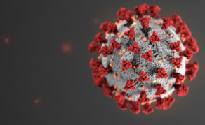 (COVID 19) Coronavirus